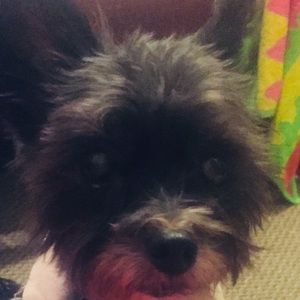 Meet your Posher, Sopha